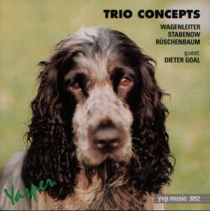 Cover for Wagenleiter, Stabenow &amp; Ruschenbaum · Trio Concepts (CD) (2002)