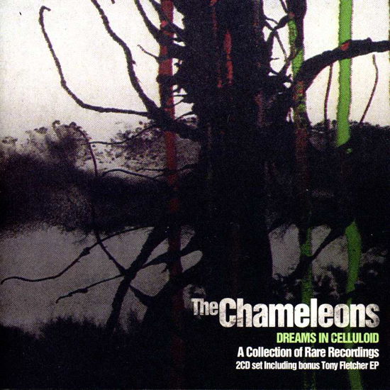 Cover for The Chameleons · Dreams in Celluloid (CD) [Bonus CD, Bonus Tracks edition] (2023)