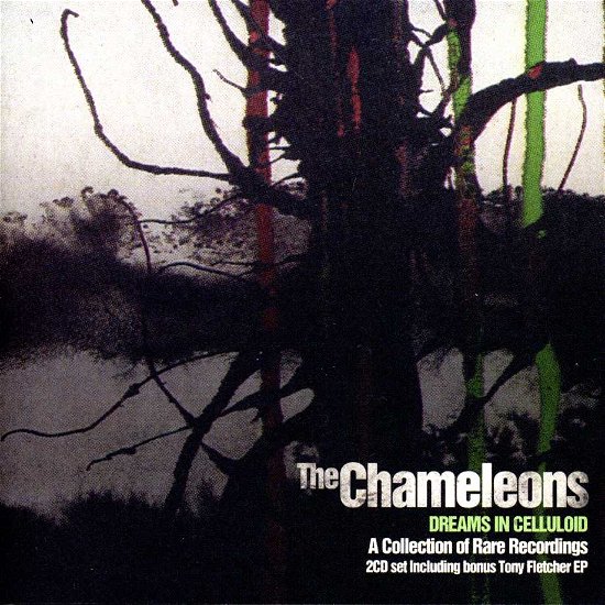 Cover for The Chameleons · Dreams in Celluloid (CD) [Bonus CD, Bonus Tracks edition] (2023)