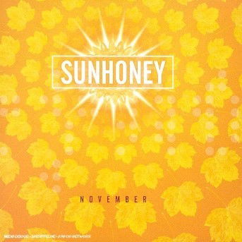 Sunhoney-november - Sunhoney - Musik - VERTICAL - 5050361500522 - 9. Januar 2003