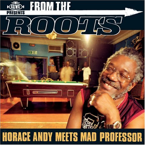 From The Roots - Horace Andy - Musiikki - RAS - 5050441901522 - maanantai 10. joulukuuta 2012