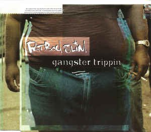 Cover for Fat Boy Slim · Fat Boy Slim-gangster Trippin -cds- (CD)
