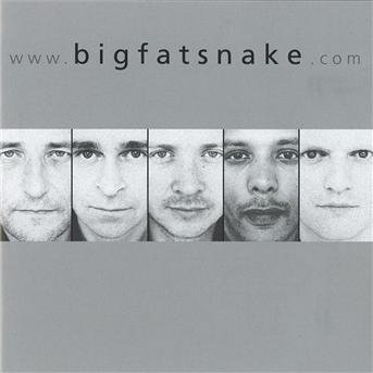 Cover for Big Fat Snake · Www.bigfatsnake.com (CD) (2005)