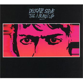 Delicate Steve · Till I Burn Up (CD) [Digipak] (2019)
