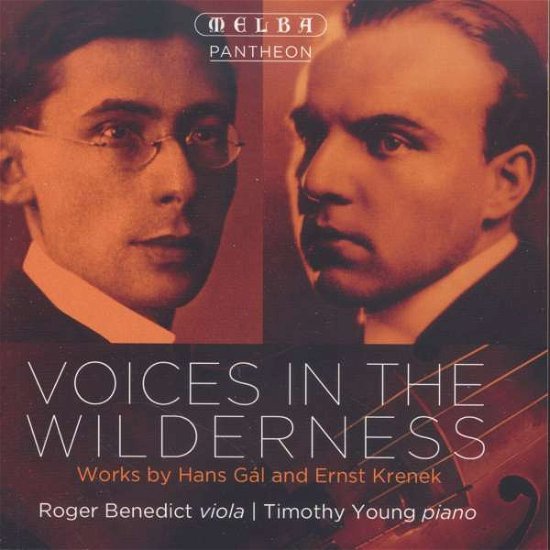 Cover for Benedict,roger / Young,timothy · Voices in the Wilderness-works by Hans Gal (CD) (2014)