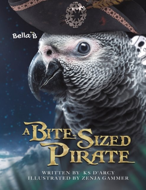 Cover for K S D'arcy · A Bite-Sized Pirate (Pocketbok) (2022)