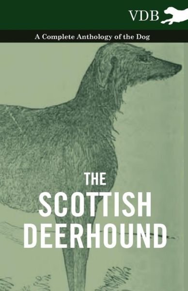 Cover for The Scottish Deerhound - a Complete Anthology of the Dog (Pocketbok) (2010)