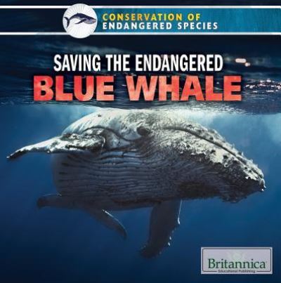 Cover for Simone Payment · Saving the endangered blue whale (Book) (2015)