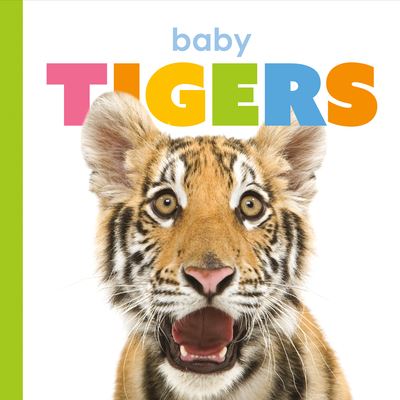 Cover for Kate Riggs · Baby Tigers (Bok) (2020)