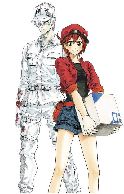 Cover for Akane Shimizu · Cells at Work! Complete Manga Box Set! - Cells at Work! Manga Box Set! (Pocketbok) (2022)