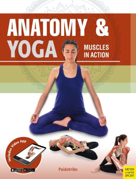 Cover for Mireia Patino Coll · Anatomy &amp; Yoga: Muscles in Action (Paperback Book) (2019)