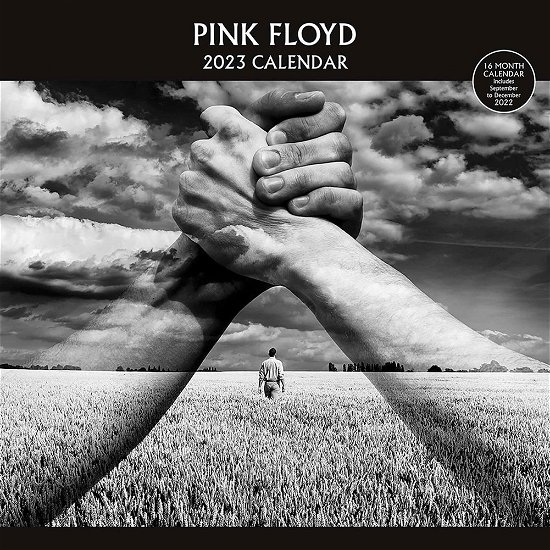 Pink Floyd 2023 Official Calendar - Pink Floyd - Fanituote - PYRAMID - 9781847579522 - maanantai 27. kesäkuuta 2022