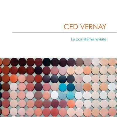 Cover for CV Catherine Vernay · Ced Vernay - Homo Digitalis (Paperback Book) (2017)