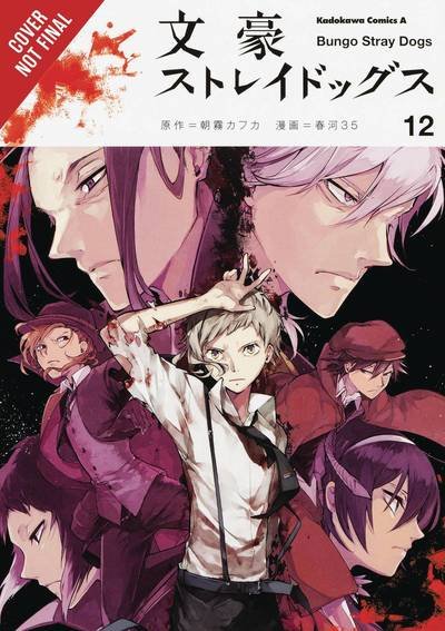 Cover for Kafka Asagiri · Bungo Stray Dogs, Vol. 12 - BUNGO STRAY DOGS GN (Paperback Book) (2019)