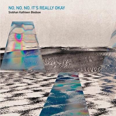 Cover for Siobhan Kathleen Bledsoe · No, No, No, It's Really Okay (Paperback Book) (2017)