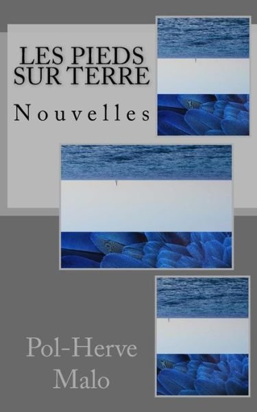 Cover for Pol-Herve Malo · Les pieds sur terre, et autres nouvelles (Paperback Book) (2015)
