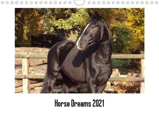 Cover for Meding · Horse Dreams (Wandkalender 2021 (Book)