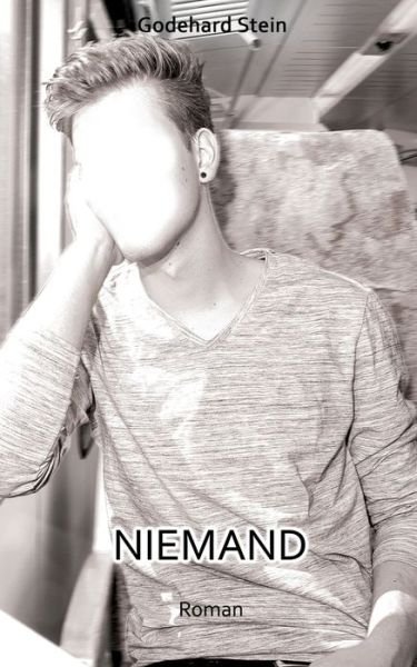 Cover for Stein · Niemand (Bok) (2017)