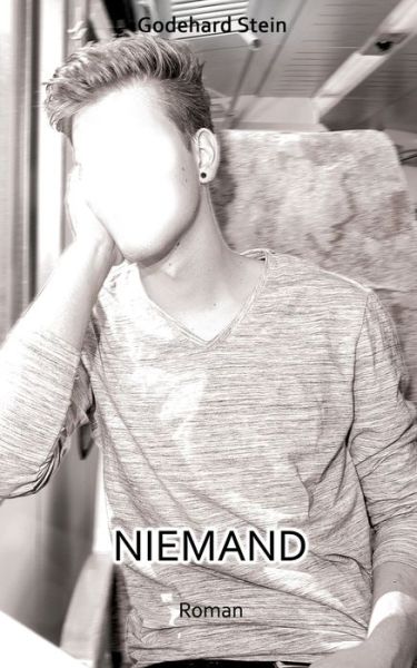 Cover for Stein · Niemand (Buch) (2017)