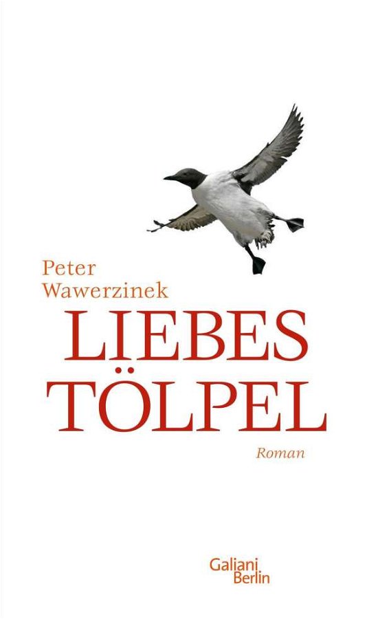 Cover for Wawerzinek · Liebestölpel (Buch)