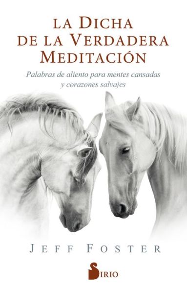 Cover for Jeff Foster · La dicha de la verdadera meditación (Paperback Book) (2020)