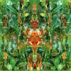 Cover for Bill Laswell  · Emerald Aether (CD)
