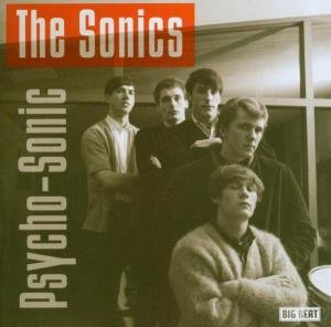 Psycho-Sonic - Sonics - Musik - BIG BEAT RECORDS - 0029667411523 - 31. Dezember 1993