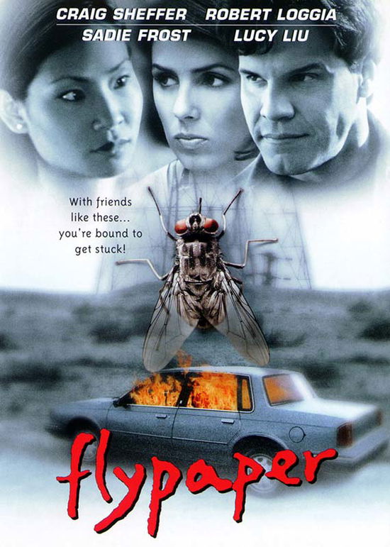 Cover for Flypaper (DVD) (2000)