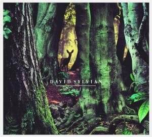 Cover for David Sylvian · Manafon (CD) [Digipak] (2009)