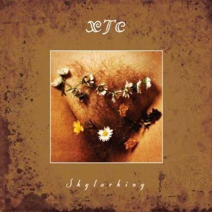 Skylarking - Xtc - Música - DGM PANEGYRIC - 0633367783523 - 14 de abril de 2014