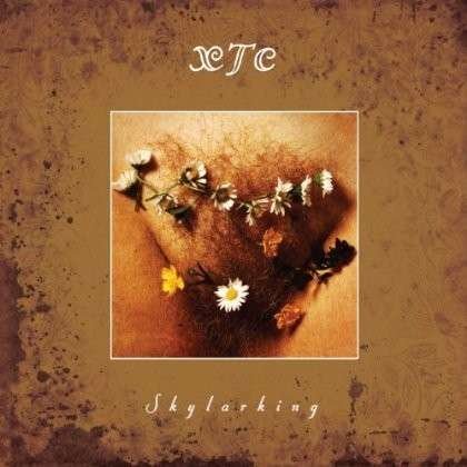 Cover for Xtc · Skylarking (CD) [Remastered edition] (2014)
