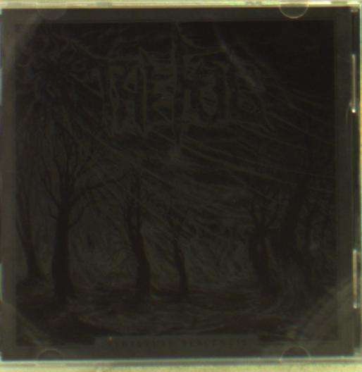 Cover for The Fog · Perpetual Blackness (CD) (2016)