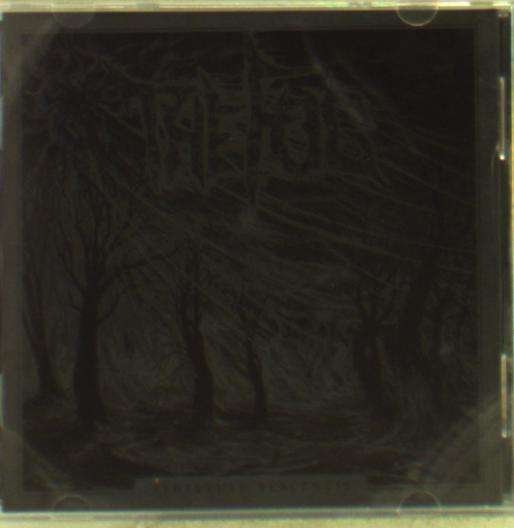 Cover for The Fog · Perpetual Blackness (CD) (2022)