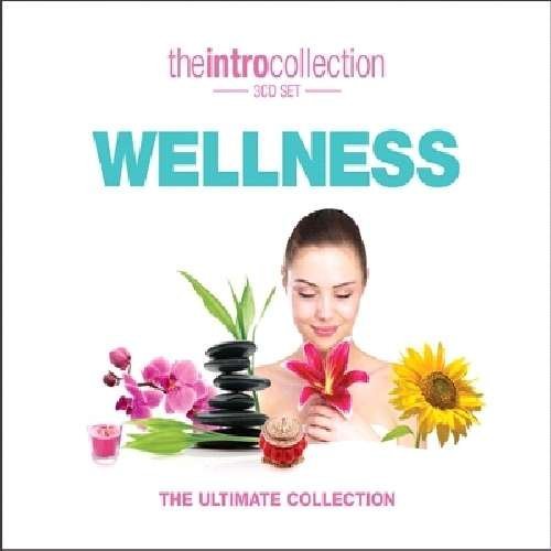 Cover for Wellness (CD) (2023)