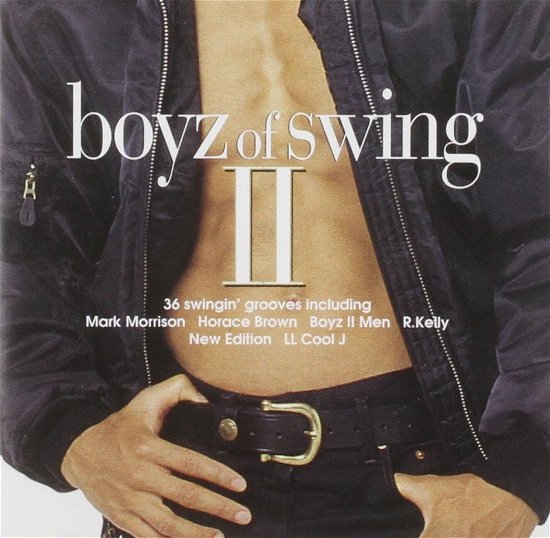 Boyz Of Swing 2 - V/A - Music - POLYGRAM - 0731453575523 - July 26, 1996