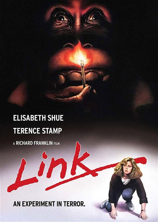 Cover for Link (DVD) [Special edition] (2019)
