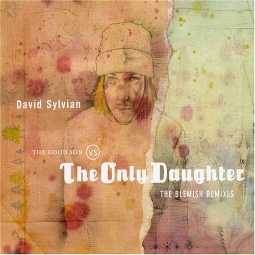 Good Son vs. Only Daughte - David Sylvian - Musik - SAMADHI - 0824877400523 - 7. Februar 2005
