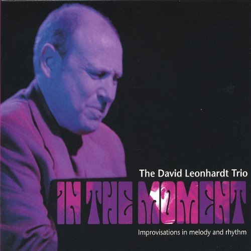 Cover for David Leonhardt · In the Moment Improvisations in Melody &amp; Rhythm (CD) (2005)