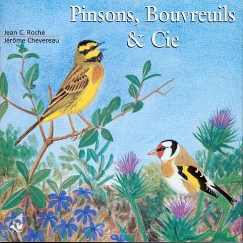 Cover for Birdsong · Pinsons &amp; Bouvreuils (CD) (2000)