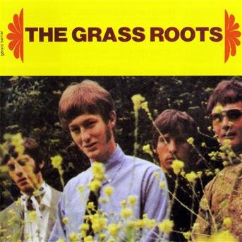 All Singles from 1966 to 1975 - Grass Roots - Muzyka - MAGIC - 3700139308523 - 8 października 2009