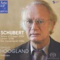 Piano Works Arte dell' arco Klassisk - Hoogland Stanley - Música - DAN - 4988026825523 - 1 de diciembre de 2009
