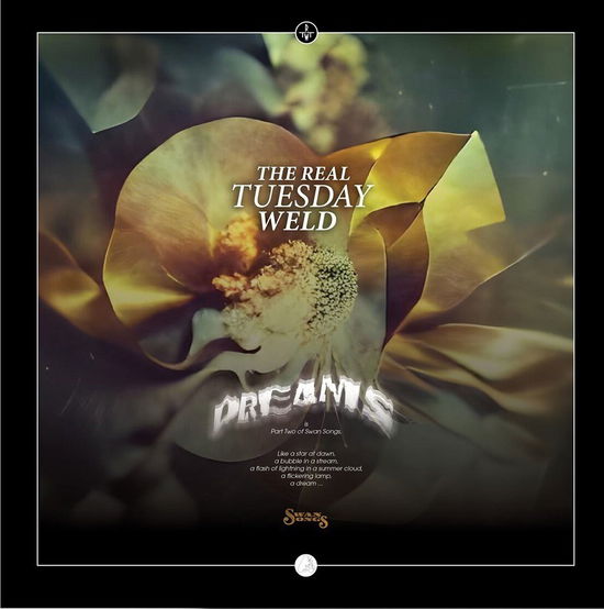 Cover for Real Tuesday Weld · Dreams (CD) (2022)