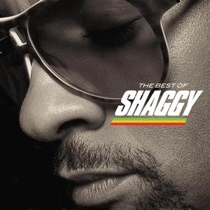Cover for Shaggy · The Best of (CD) (2008)