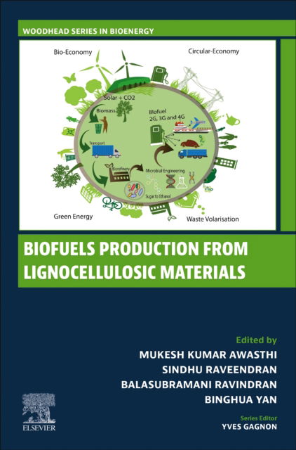 Biofuels Production from Lignocellulosic Materials - Woodhead Series in Bioenergy (Taschenbuch) (2024)