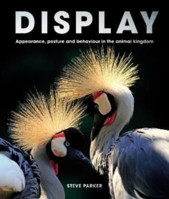 Cover for Steve Parker · Display: Appearance, posture and behaviour in the animal kingdom (Inbunden Bok) (2023)