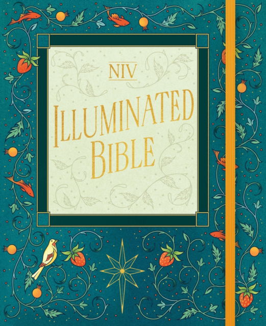 Cover for New International Version · NIV Illuminated Bible (Hardcover Book) (2025)