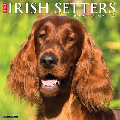 Willow Creek Press · Just Irish Setters 2025 12 X 12 Wall Calendar (Calendar) (2024)