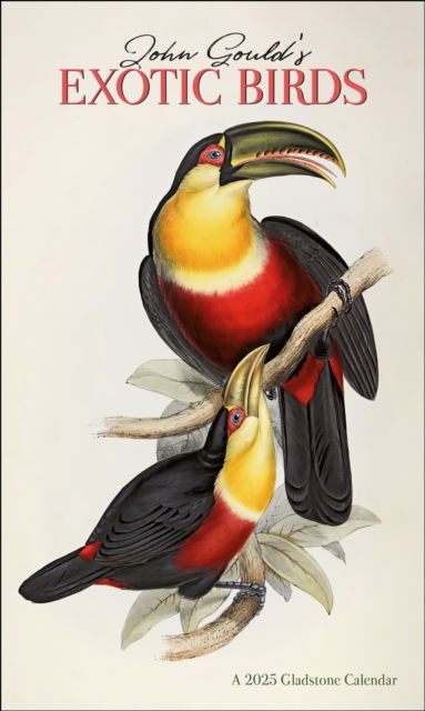 Cover for Gladstone Media · Gould’s Exotic Birds Deluxe Wall Calendar 2025 (Calendar) (2024)