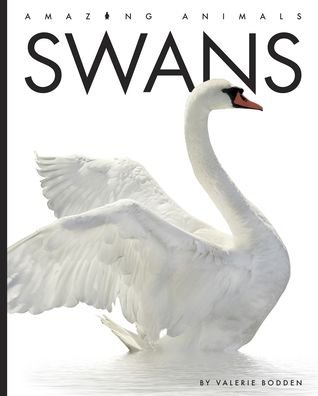 Cover for Valerie Bodden · Swans (Bog) (2022)