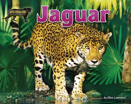 Cover for Ellen Lawrence · Jaguar (Paperback Book) (2020)